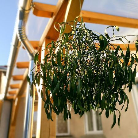 Fagyoengy Apartment Sarvar Bagian luar foto