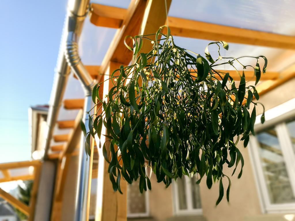Fagyoengy Apartment Sarvar Bagian luar foto